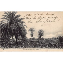 Rare collectable postcards of TUNISIA. Vintage Postcards of TUNISIA