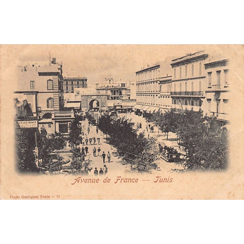 Rare collectable postcards of TUNISIA. Vintage Postcards of TUNISIA
