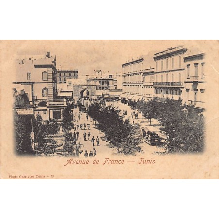 Rare collectable postcards of TUNISIA. Vintage Postcards of TUNISIA