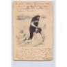 Rare collectable postcards of TUNISIA. Vintage Postcards of TUNISIA