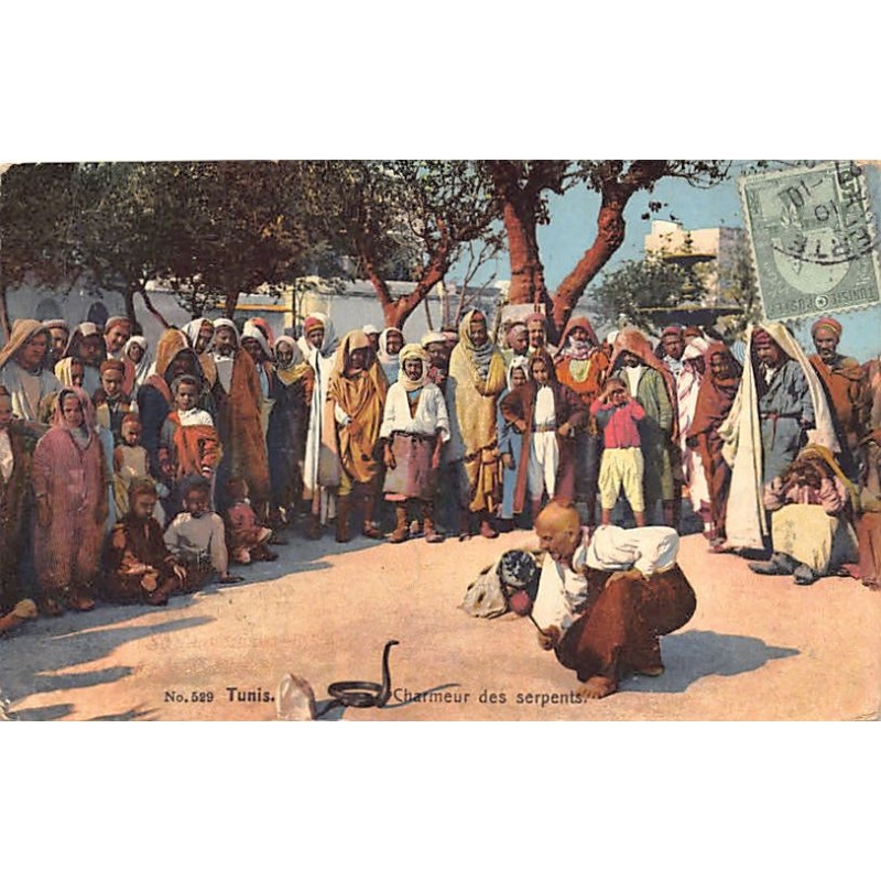 Rare collectable postcards of TUNISIA. Vintage Postcards of TUNISIA