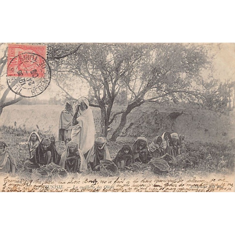 Rare collectable postcards of TUNISIA. Vintage Postcards of TUNISIA