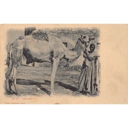 Rare collectable postcards of TUNISIA. Vintage Postcards of TUNISIA
