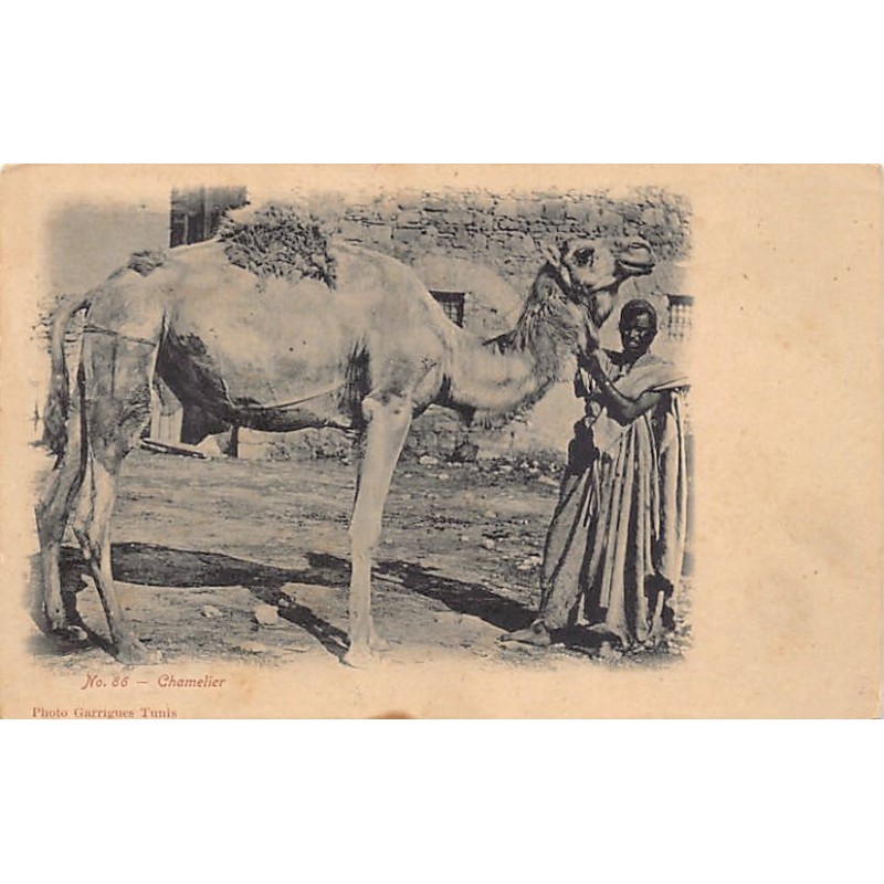 Rare collectable postcards of TUNISIA. Vintage Postcards of TUNISIA