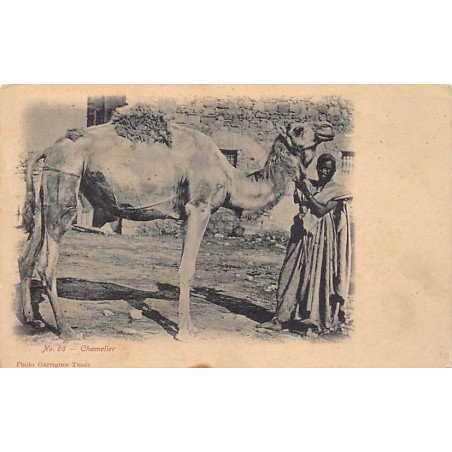 Rare collectable postcards of TUNISIA. Vintage Postcards of TUNISIA