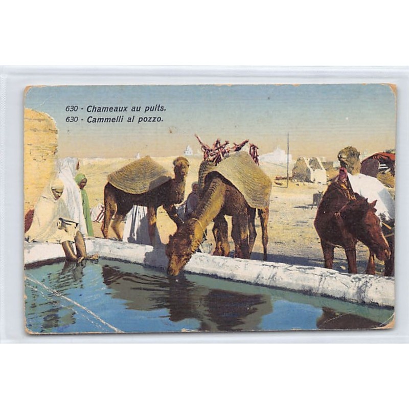 Rare collectable postcards of TUNISIA. Vintage Postcards of TUNISIA
