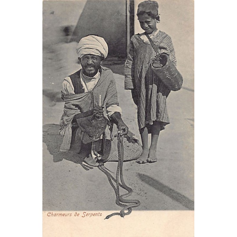 Rare collectable postcards of TUNISIA. Vintage Postcards of TUNISIA