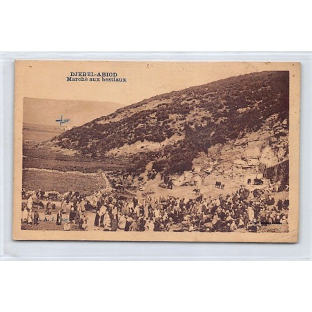Rare collectable postcards of TUNISIA. Vintage Postcards of TUNISIA