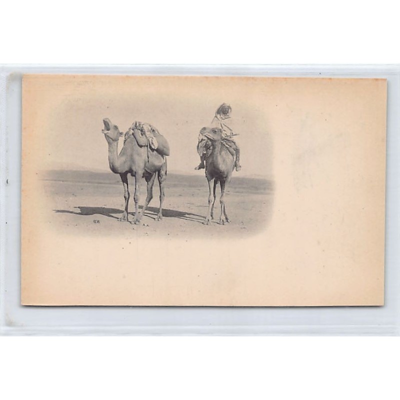 Rare collectable postcards of TUNISIA. Vintage Postcards of TUNISIA