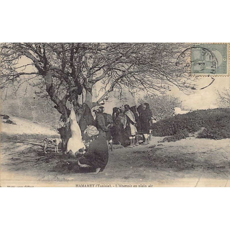 Rare collectable postcards of TUNISIA. Vintage Postcards of TUNISIA