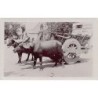 Rare collectable postcards of INDIA. Vintage Postcards of INDIA