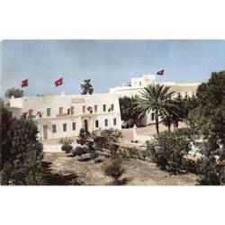 Rare collectable postcards of TUNISIA. Vintage Postcards of TUNISIA