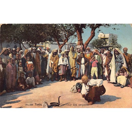 Rare collectable postcards of TUNISIA. Vintage Postcards of TUNISIA