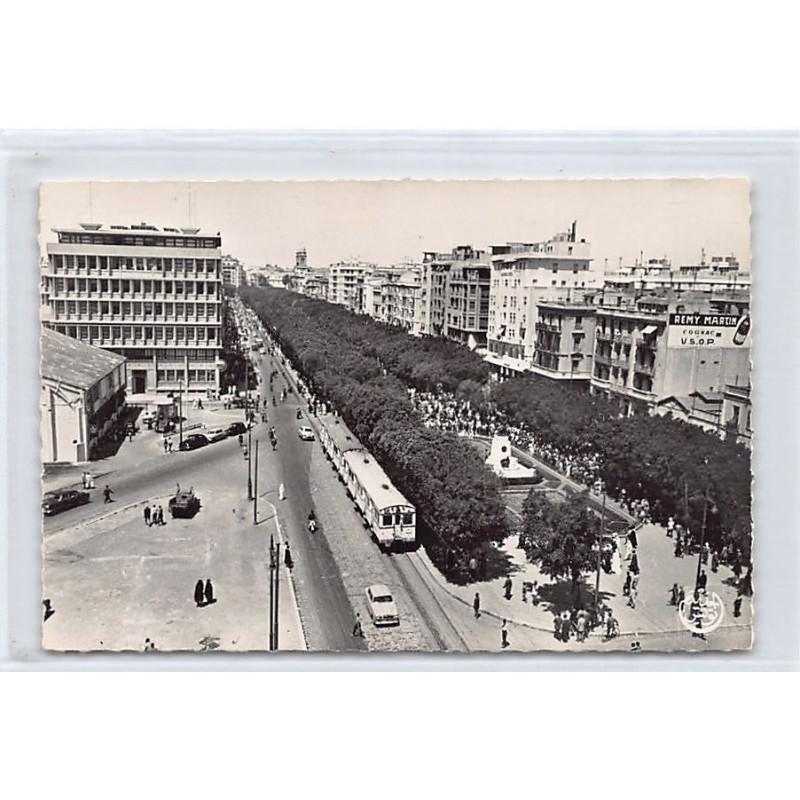 Rare collectable postcards of TUNISIA. Vintage Postcards of TUNISIA