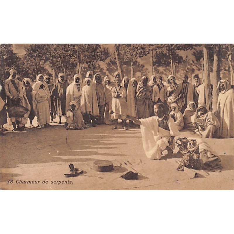 Rare collectable postcards of TUNISIA. Vintage Postcards of TUNISIA
