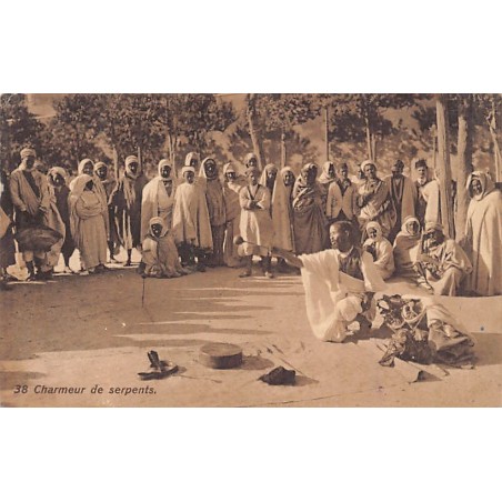 Rare collectable postcards of TUNISIA. Vintage Postcards of TUNISIA