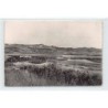 Rare collectable postcards of TUNISIA. Vintage Postcards of TUNISIA