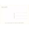 Rare collectable postcards of TUNISIA. Vintage Postcards of TUNISIA