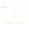 Rare collectable postcards of TUNISIA. Vintage Postcards of TUNISIA
