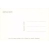 Rare collectable postcards of TUNISIA. Vintage Postcards of TUNISIA