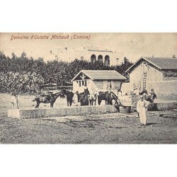 Rare collectable postcards of TUNISIA. Vintage Postcards of TUNISIA
