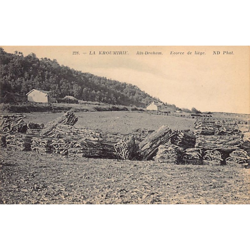 Rare collectable postcards of TUNISIA. Vintage Postcards of TUNISIA