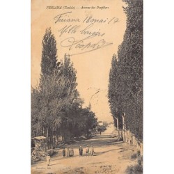 Rare collectable postcards of TUNISIA. Vintage Postcards of TUNISIA