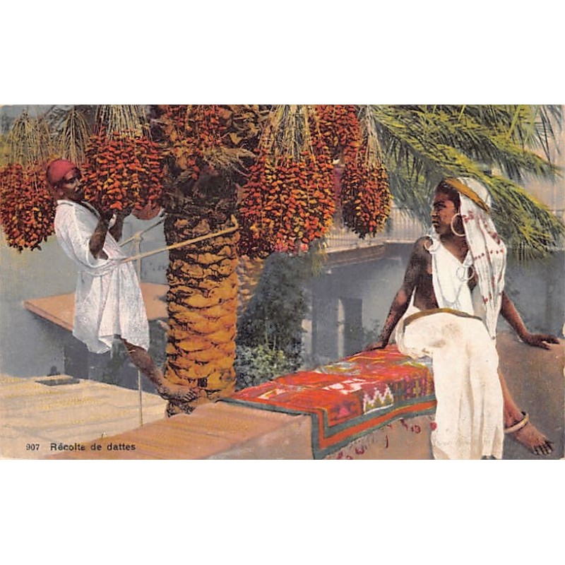 Rare collectable postcards of TUNISIA. Vintage Postcards of TUNISIA