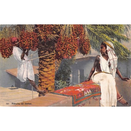 Rare collectable postcards of TUNISIA. Vintage Postcards of TUNISIA