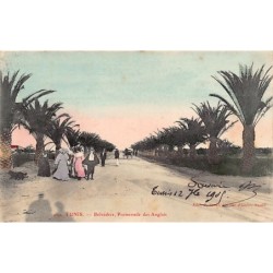Rare collectable postcards of TUNISIA. Vintage Postcards of TUNISIA