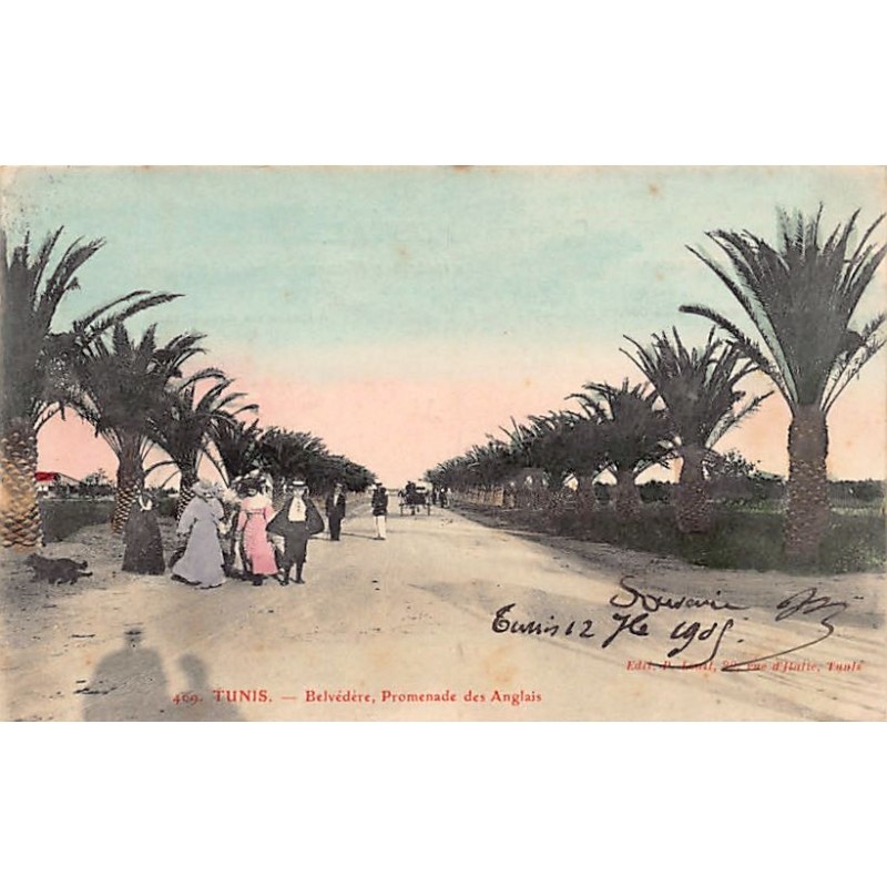 Rare collectable postcards of TUNISIA. Vintage Postcards of TUNISIA