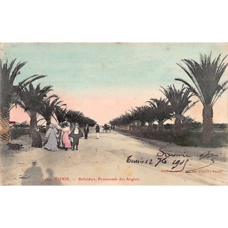 Rare collectable postcards of TUNISIA. Vintage Postcards of TUNISIA