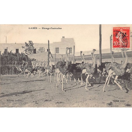 Rare collectable postcards of TUNISIA. Vintage Postcards of TUNISIA