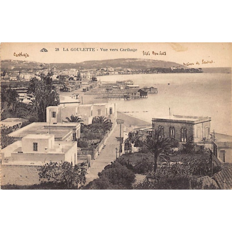 Rare collectable postcards of TUNISIA. Vintage Postcards of TUNISIA