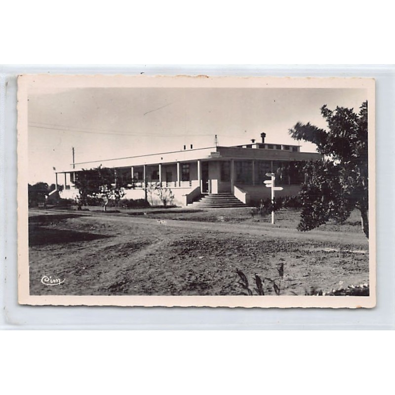 Rare collectable postcards of TUNISIA. Vintage Postcards of TUNISIA