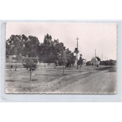 Rare collectable postcards of TUNISIA. Vintage Postcards of TUNISIA