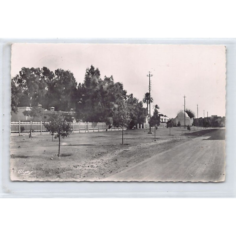 Rare collectable postcards of TUNISIA. Vintage Postcards of TUNISIA