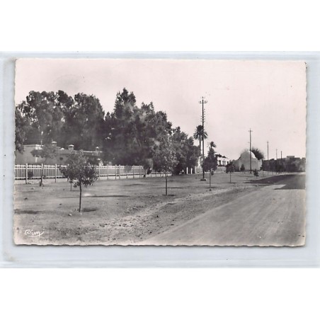 Rare collectable postcards of TUNISIA. Vintage Postcards of TUNISIA