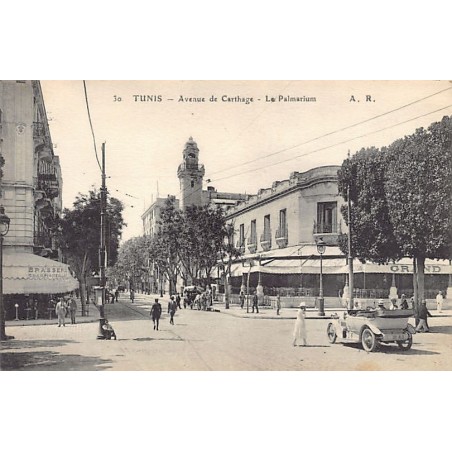 Rare collectable postcards of TUNISIA. Vintage Postcards of TUNISIA