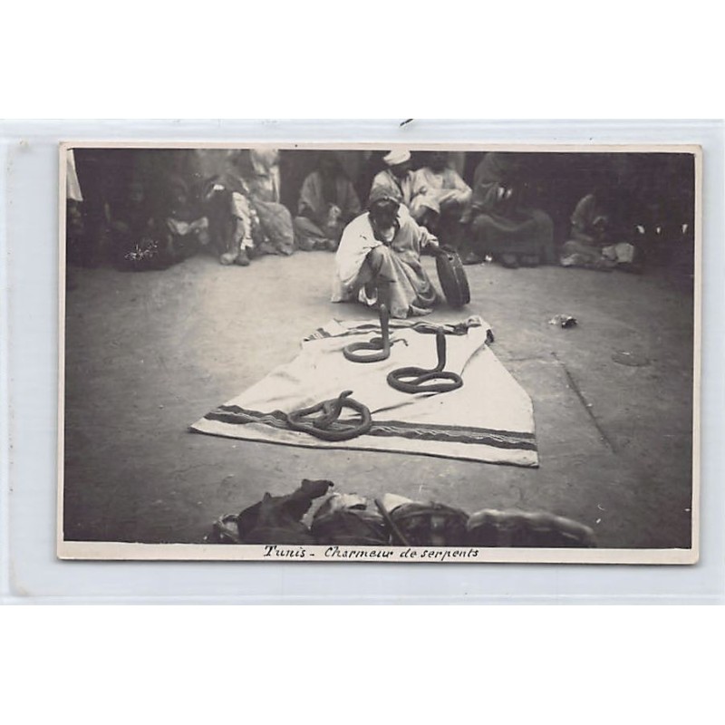 Rare collectable postcards of TUNISIA. Vintage Postcards of TUNISIA