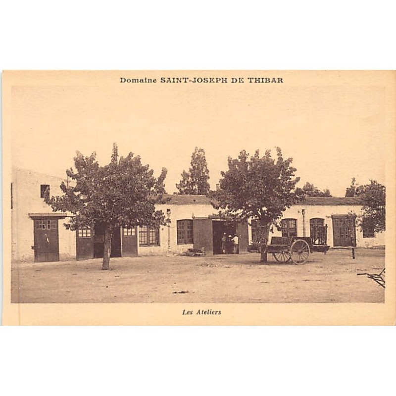 Rare collectable postcards of TUNISIA. Vintage Postcards of TUNISIA