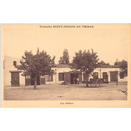 Rare collectable postcards of TUNISIA. Vintage Postcards of TUNISIA