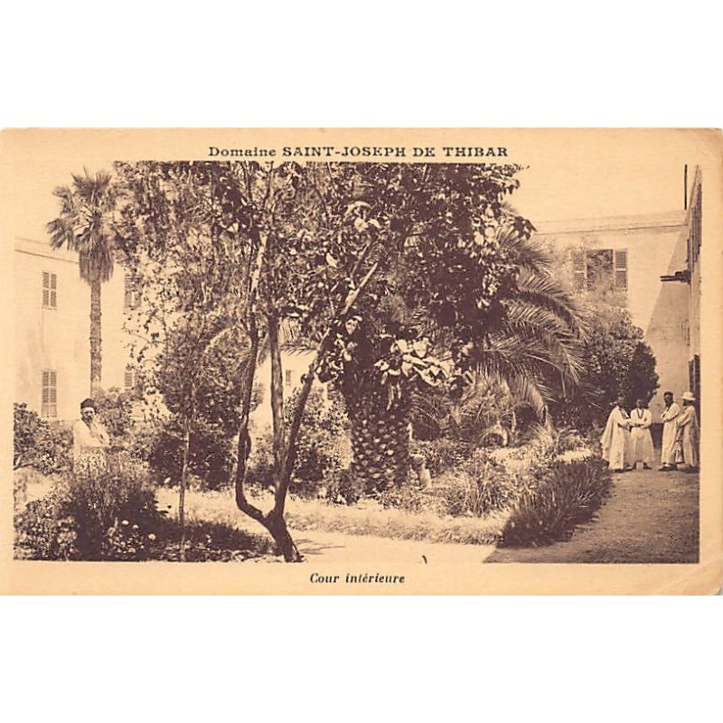 Rare collectable postcards of TUNISIA. Vintage Postcards of TUNISIA