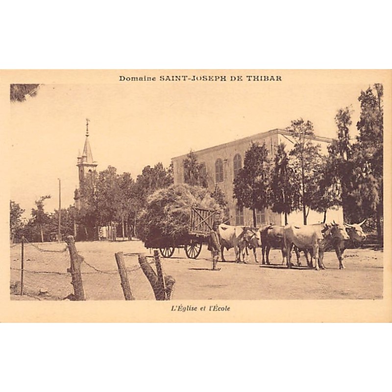 Rare collectable postcards of TUNISIA. Vintage Postcards of TUNISIA
