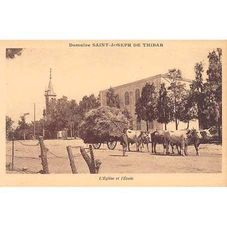 Rare collectable postcards of TUNISIA. Vintage Postcards of TUNISIA