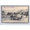 Rare collectable postcards of TUNISIA. Vintage Postcards of TUNISIA