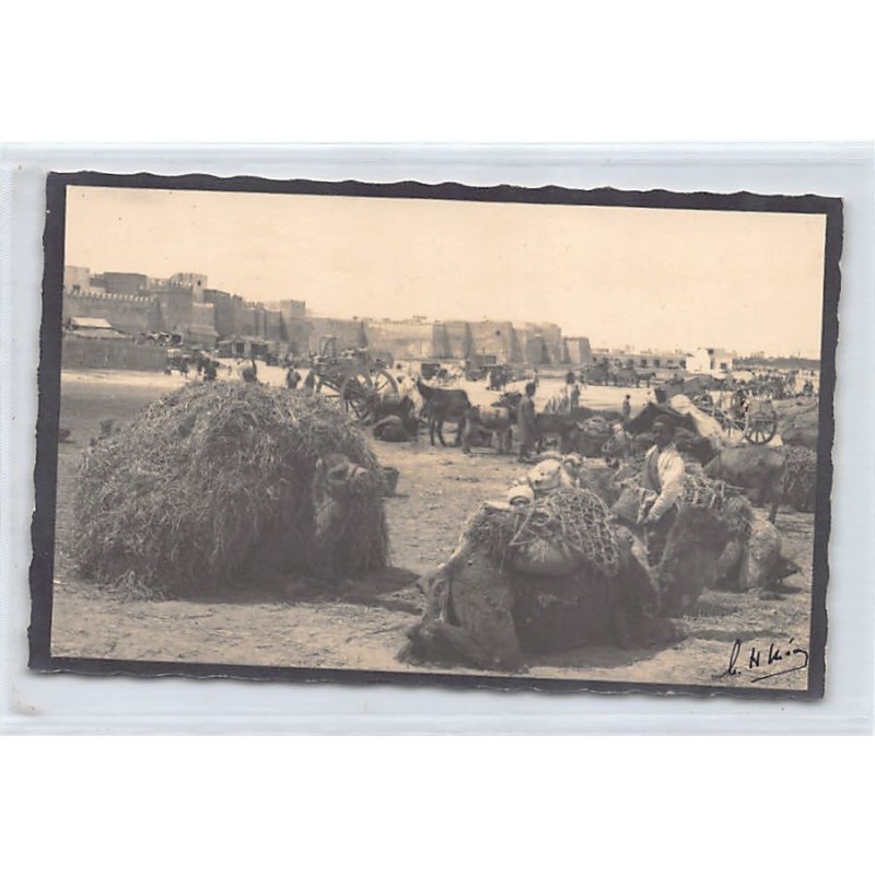 Rare collectable postcards of TUNISIA. Vintage Postcards of TUNISIA