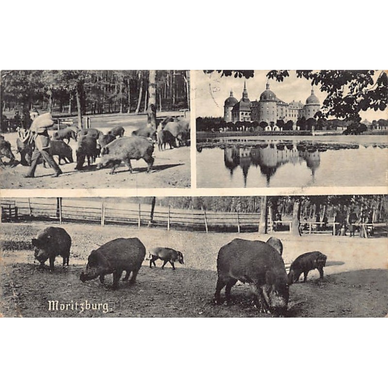 Rare collectable postcards of GERMANY Deutschland. Vintage Postcards of GERMANY Deutschland