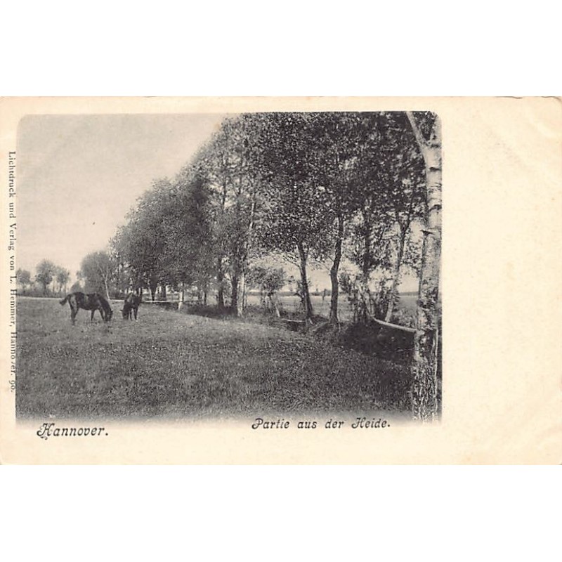 Rare collectable postcards of GERMANY Deutschland. Vintage Postcards of GERMANY Deutschland