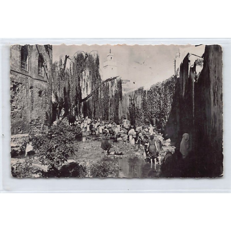 Rare collectable postcards of JUDAICA. Vintage Postcards of JUDAICA
